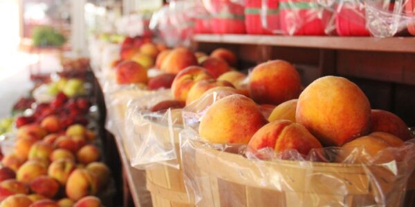 Photo Grilled peaches